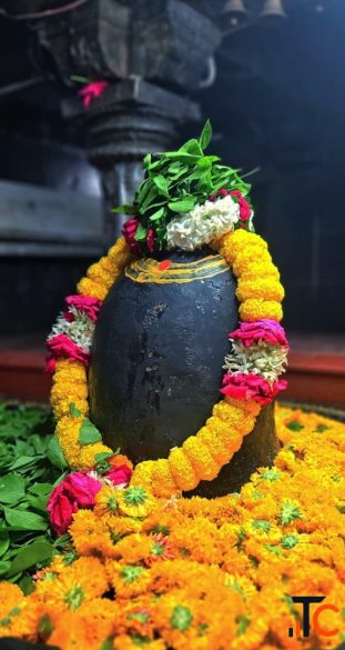 Panch Jyotirlinga in Maharashtra with Shirdi and Shani Singhnapur