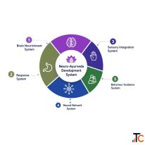 What Is the Neuro-Ayurveda Development System 5 Key Pillars
