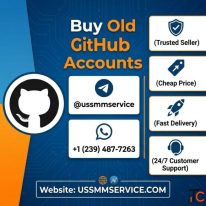 Buy Old GitHub Accounts Online for Developers and Businesses in 2026