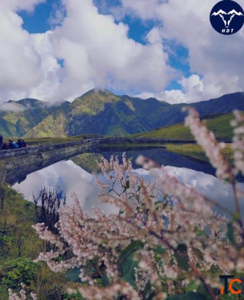 Ali Bedni Bugyal Trek Package