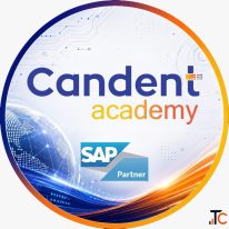 SAP Finance AI Course in Pune - Candent Academy