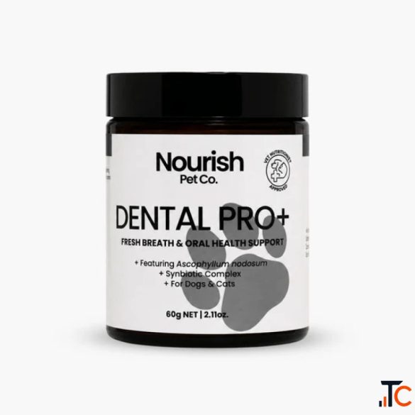 Dental Products for Dogs Simple Daily Support for Healthy Smiles