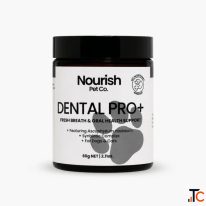 Dental Products for Dogs Simple Daily Support for Healthy Smiles