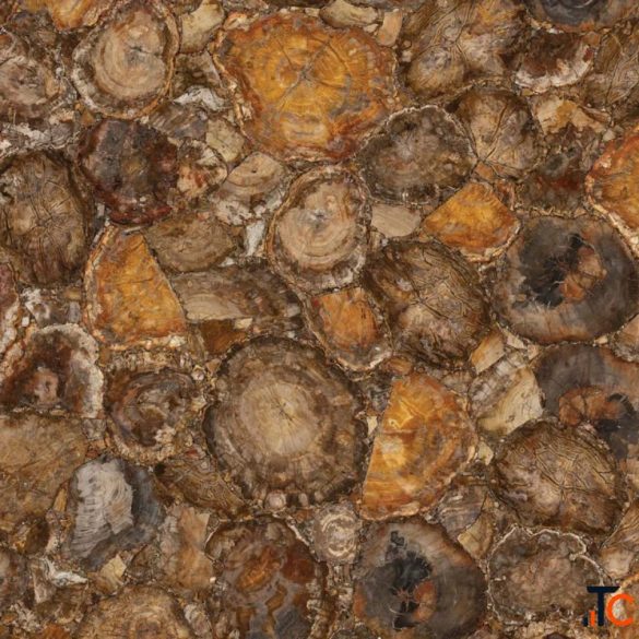 Brown Petrified Wood Slab Manufacturer Exporter Subh Gem Stones