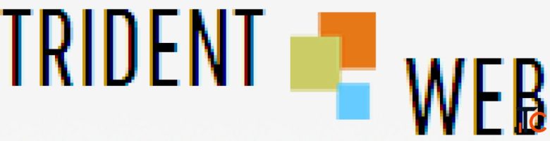 SEO Services Company in Pune India Trident Web Infoservices