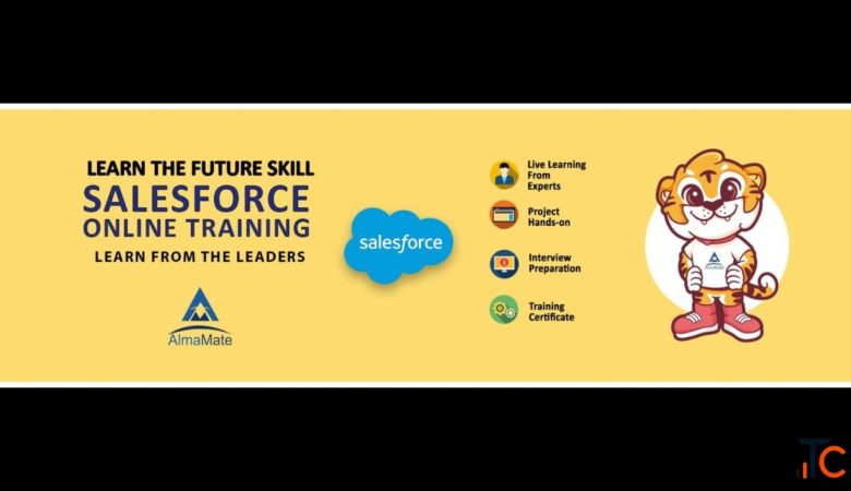 AlmaMate offers the best Salesforce training in Noida