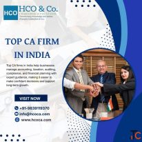 Top CA Firms in India for Professional Business Financial Support