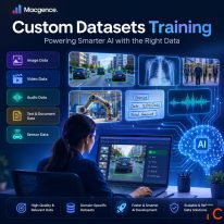 Custom Datasets Training for Better AI Model Performance