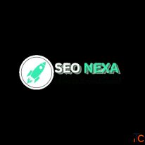 Seonexa and its team Best Digital Marketing Company