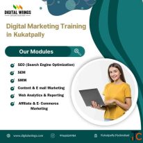 Agency-Style Digital Marketing Training in Kukatpally to Scale Business Growth
