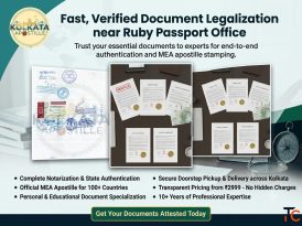 Document Legalization Kolkata - Get Your Documents Abroad-Ready