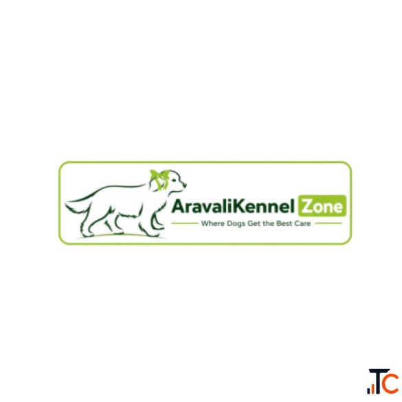 Cat Boarding in Gurugram Peaceful Stays with Attentive Care Aravali Kennel Zone