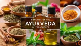 Santushti Ayurvedic Medical College Hospital