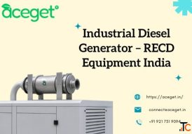 Industrial Diesel Generator - RECD Equipment India