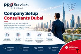Company Setup Consultants Dubai Business Setup Services