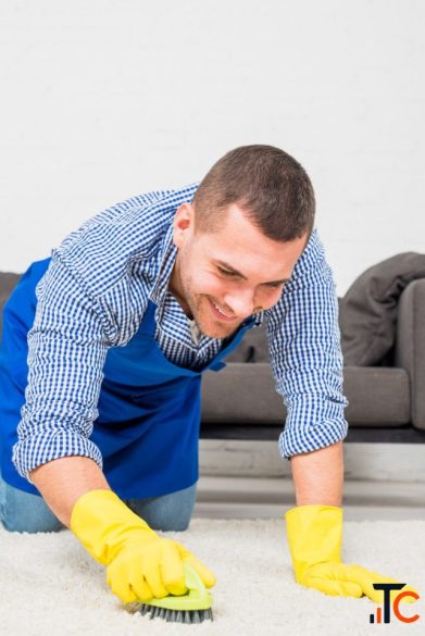 Carpet Cleaning Services Noida - Butterflyy