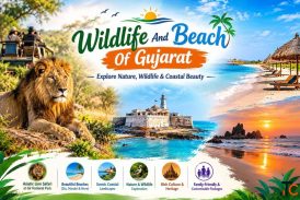 Wildlife And Beach Of Gujarat - Explore Nature Wildlife Coastal Beauty