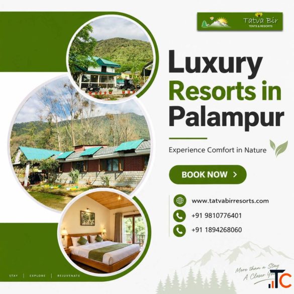 Luxury Resorts in Palampur for a Comfortable and Scenic Holiday
