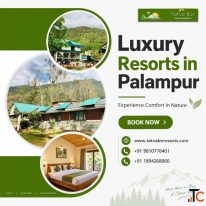 Luxury Resorts in Palampur for a Comfortable and Scenic Holiday