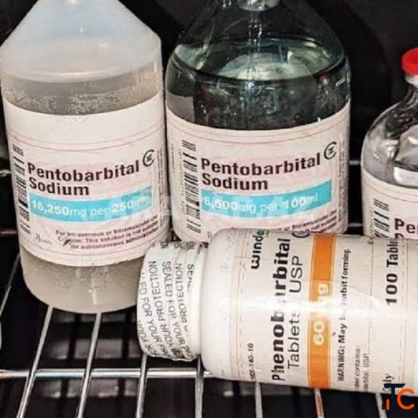 Nembutal Pentobarbital Sodium Online