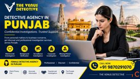 Detective Agency in Punjab Confidential Investigation Services