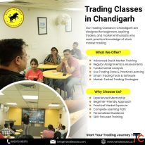 Trading Classes in Chandigarh