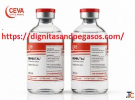 Nembutal for Sale in Spain Buy Pentobarbital in Spain