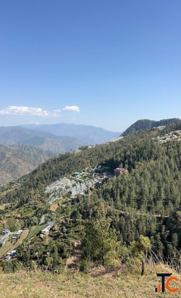 Digital Marketing Executive Jobs in Shimla - Usshmaa