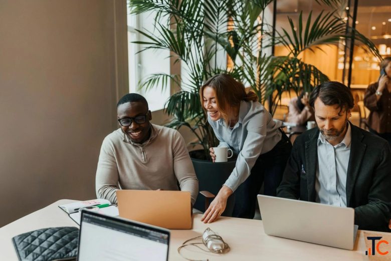 Setting Up a Company in Bermuda - Professional Assistance