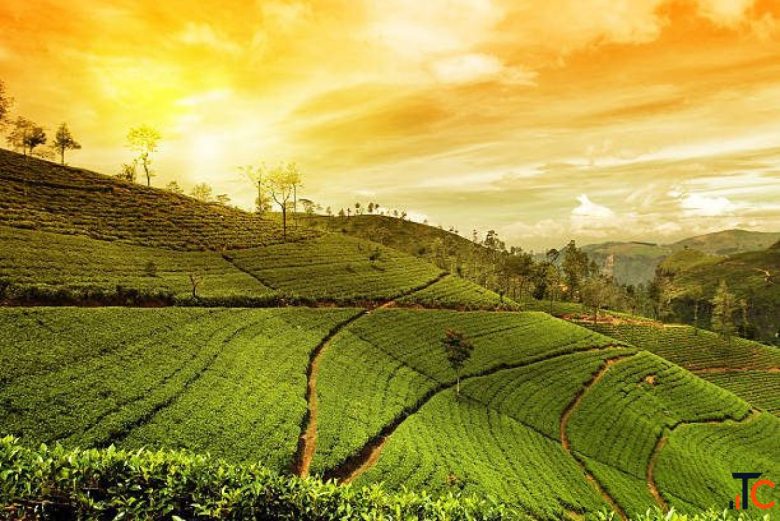 Kerala Tour Packages 2026-27 - Kerala Tourism Offers Up to 35 OFF
