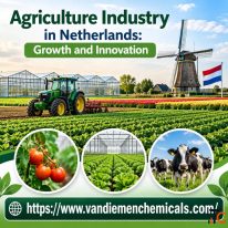 Agriculture Industry in Netherlands Growth and Innovation