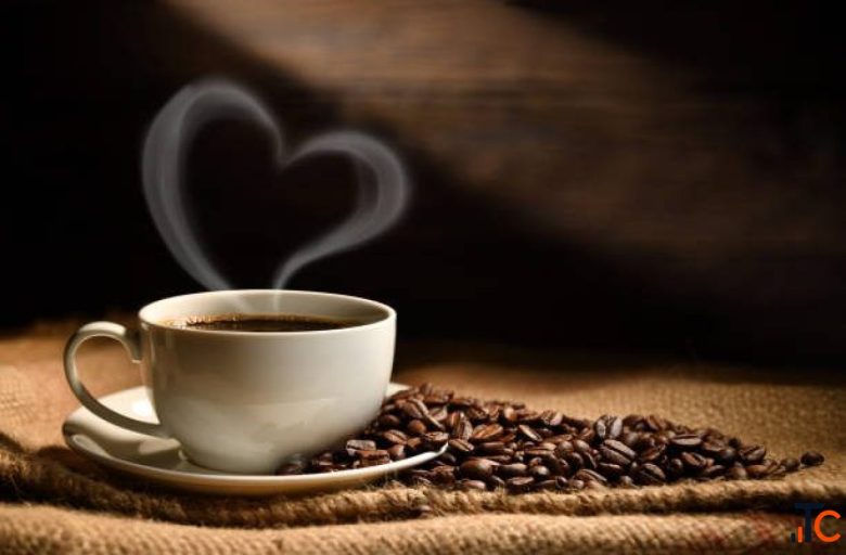 Best Cafe in Coimbatore Brew Bite Cafe