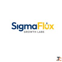 Sigmaflux Growth Labs Best Digital Marketing Agency in Thane-Mumbai