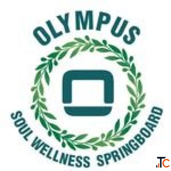 Best Physiotherapy Centre in Noida Sector128 Olympus Soul Wellness Springboard Description