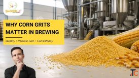 Shreeji Ingredients - Corn Grits Supplier for Brewing Industrial Applications in India