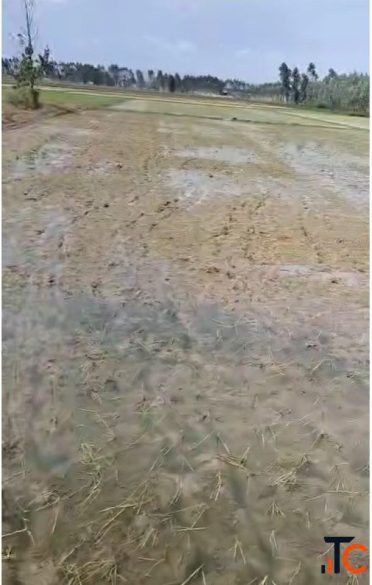 Uttarakhand SC Category land for sale in Maldhan chaur Ramnagar Nainital