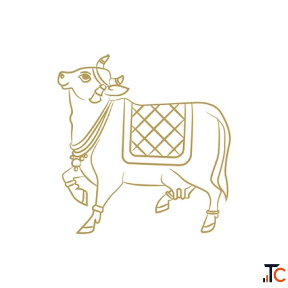 Add a Distinctive Touch with Silver Kanjeevaram Saree