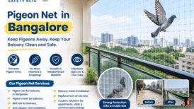 Pigeon net in bangalore