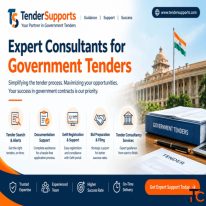 Tender Bidding Consultant