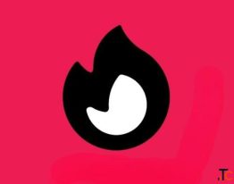 Vibuddy Network