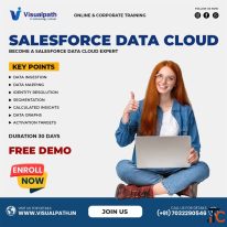 Salesforce Data Cloud Training Hyderabad Hands-On Projects