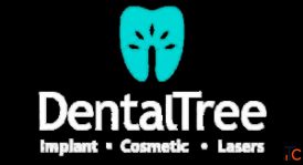 DentalTree Dental Clinic - Dental Care in Pune