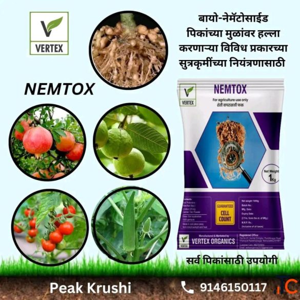 Bactostore India