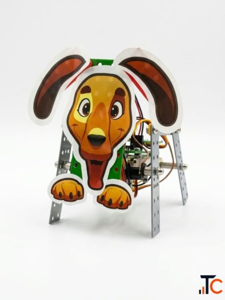Animal Bot Workshop