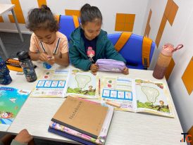 Mental Arithmetic Abacus Classes Online SIP abacus