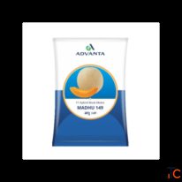 Buy Hybrid Muskmelon Seeds Online Shramik Krishi Kendra