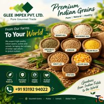 Quality Grains Exporter in India - Glee Impex Pvt. Ltd.