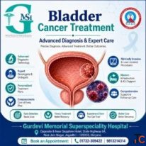 Bladder Cancer Treatment with Advanced Medical Support