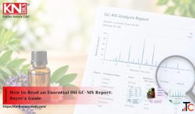 How to Read a GC-MS Report for Essential Oils A Buyer's Guide