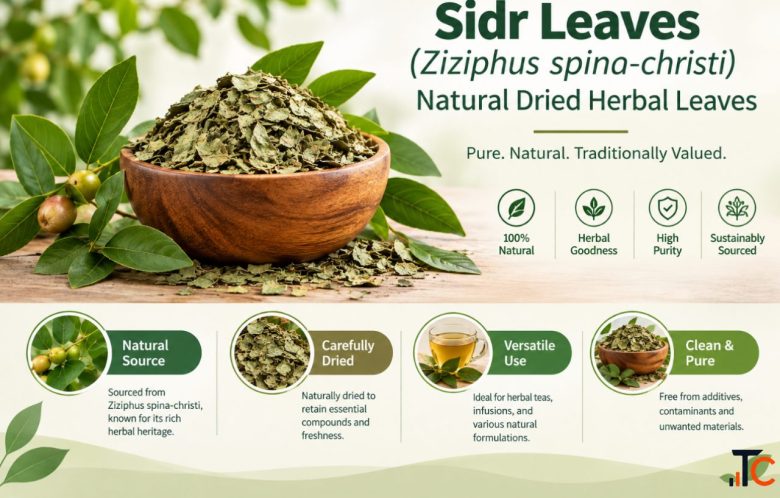 Organic Sidr Leaves Powder Ziziphus Spina-Christi Powder